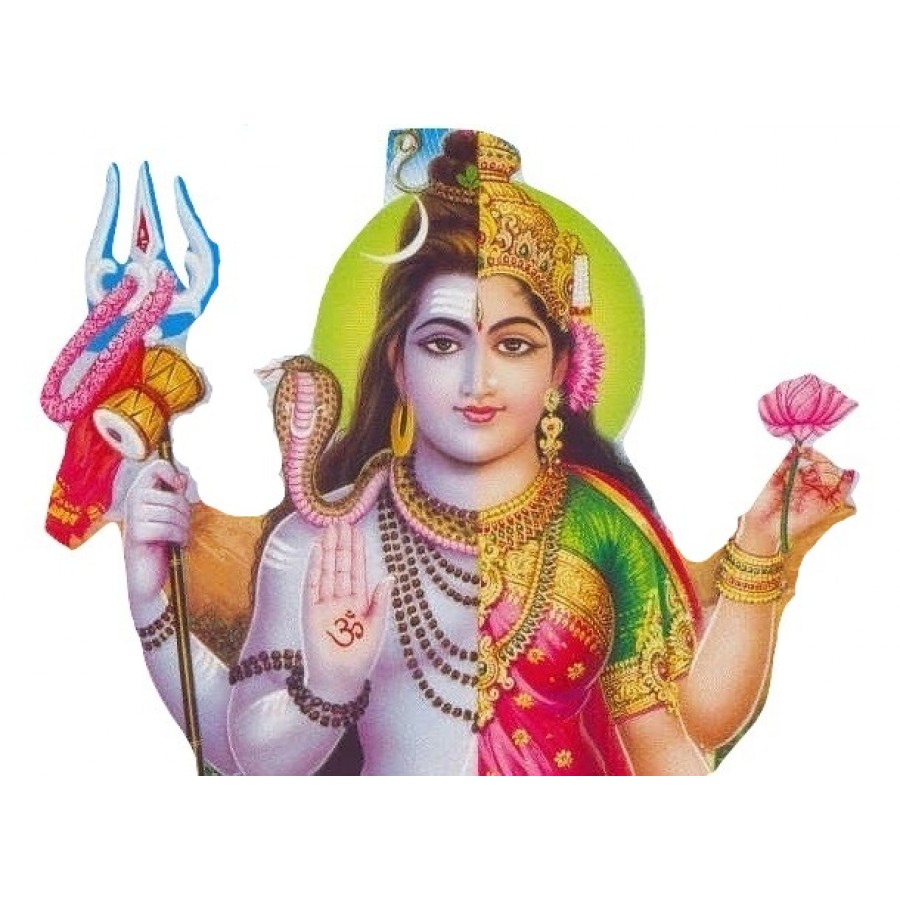 ardhnarishwar-puja-and-yajnashp03-95-900x900 Ardhnarishwar Puja & Yagna - Image 1