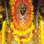 Goddess Bagulamukhi Jayanti Puja
