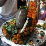 Shravan Somvar Puja & Homam
