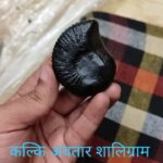 Kalik avtar & dashavtar shaligram