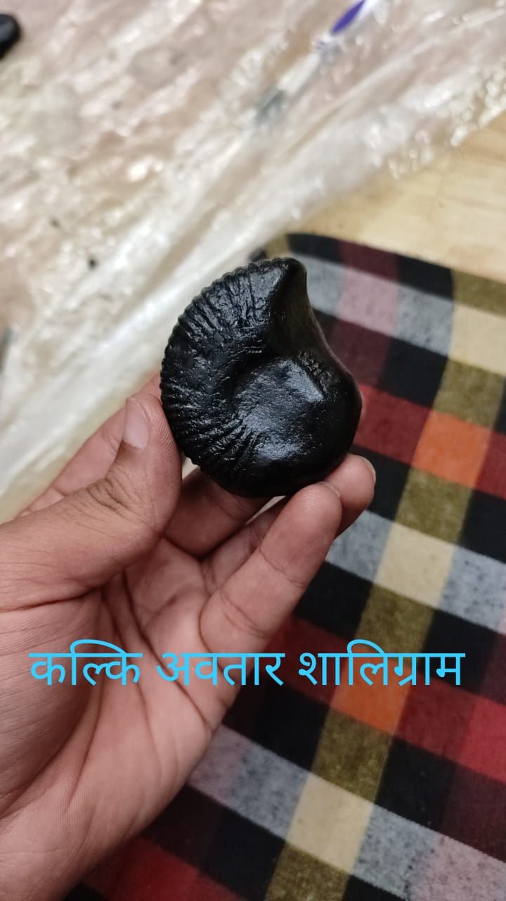 75ebe7dc-4b49-4fa1-85e0-ae9f3e2a3c7d-1.jpg Kalik avtar & dashavtar shaligram - Image 1