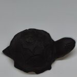 Shaligram kachhuva