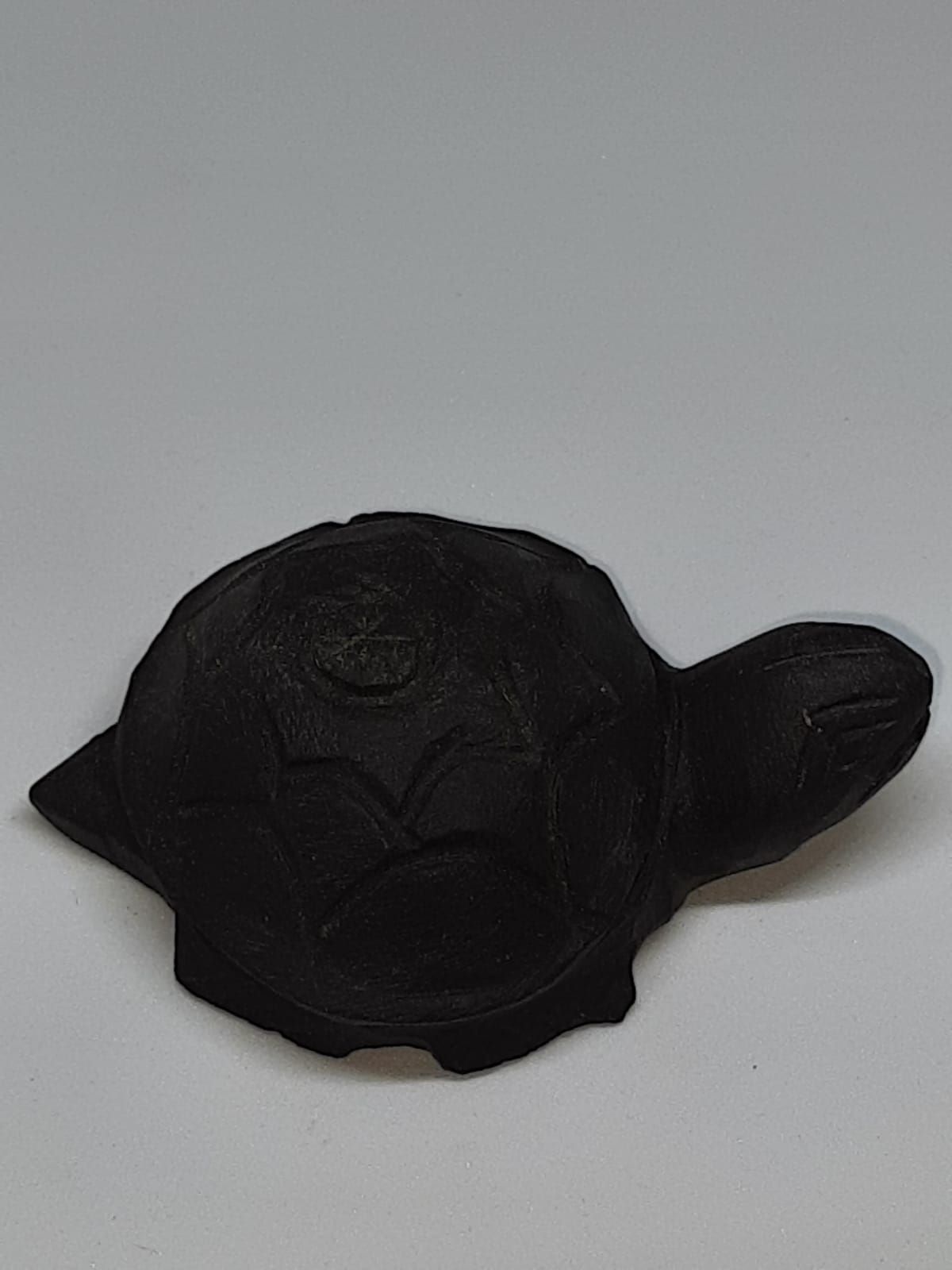 Shaligram-kachhuva-1.jpg Shaligram kachhuva - Image 1