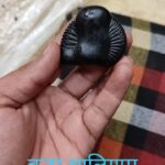 Buddha avtar shaligram