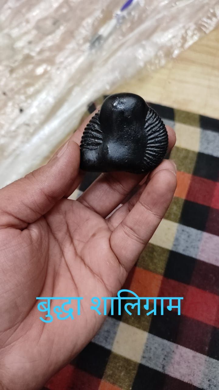 buddha-avtar-shaligram-1.jpg Buddha avtar shaligram - Image 1