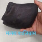 matsya-shaligram.png