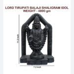 Shaligram Tirupati Balaji Murty