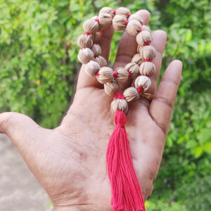 Material Tulsi Bead Size 11 Mm Bead Shape Lotus Mala Type Regular Total Beads 27+1
