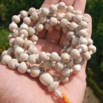 ISKCON Tulsi Japa Mala 108 + 1 Guru Beads Hand Knotted Disclaimer : Product’s color may slightly vary due to photographic lighting sources or your monitor settings. Precaution : This Tulsi bead is brittle, handle with care Instruction : If you put Tulsi Beads in water the color may change. Note : Descriptions for products are taken from scriptures and oral tradition